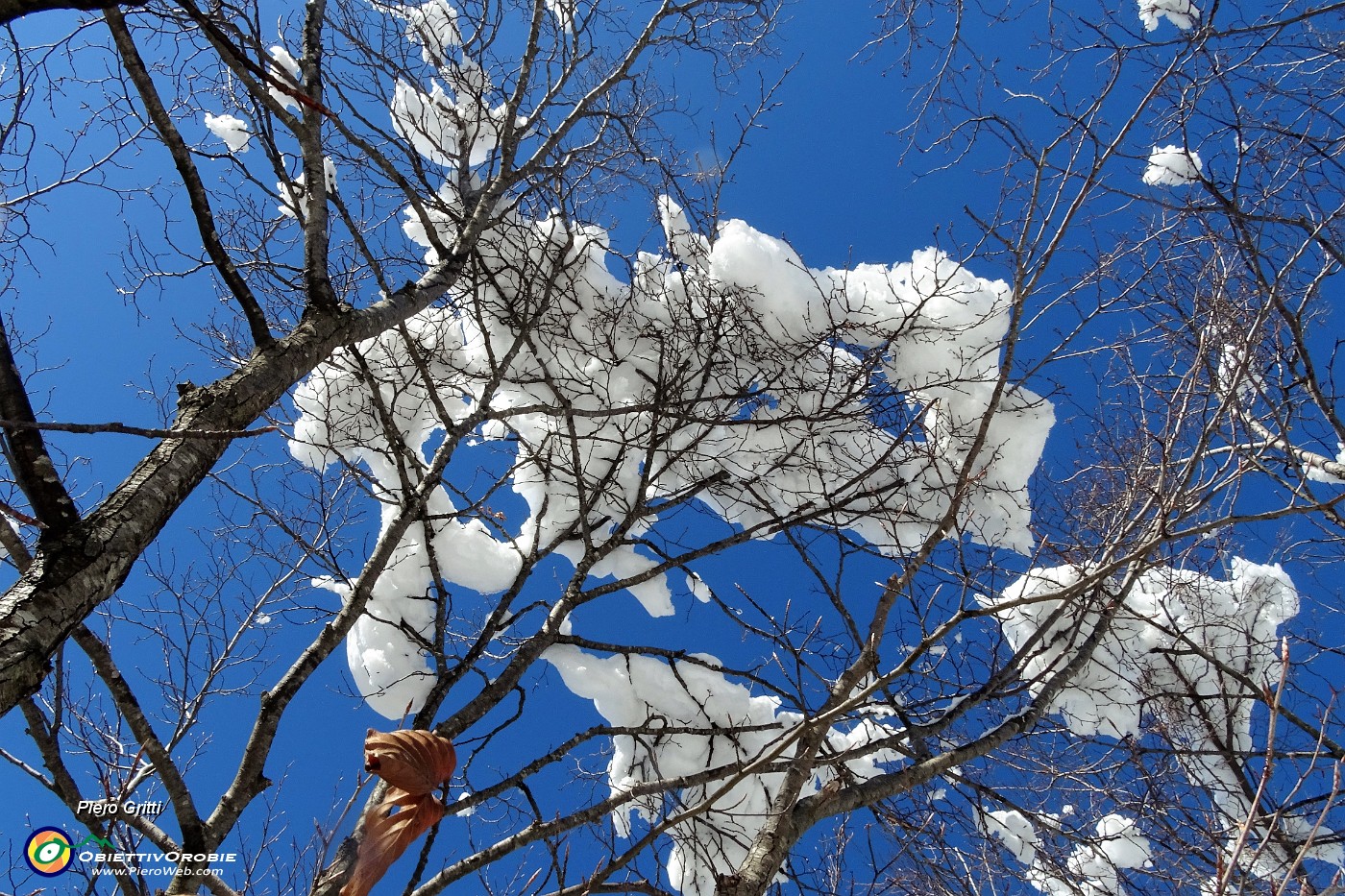 25 Sole e neve sulla testa.JPG